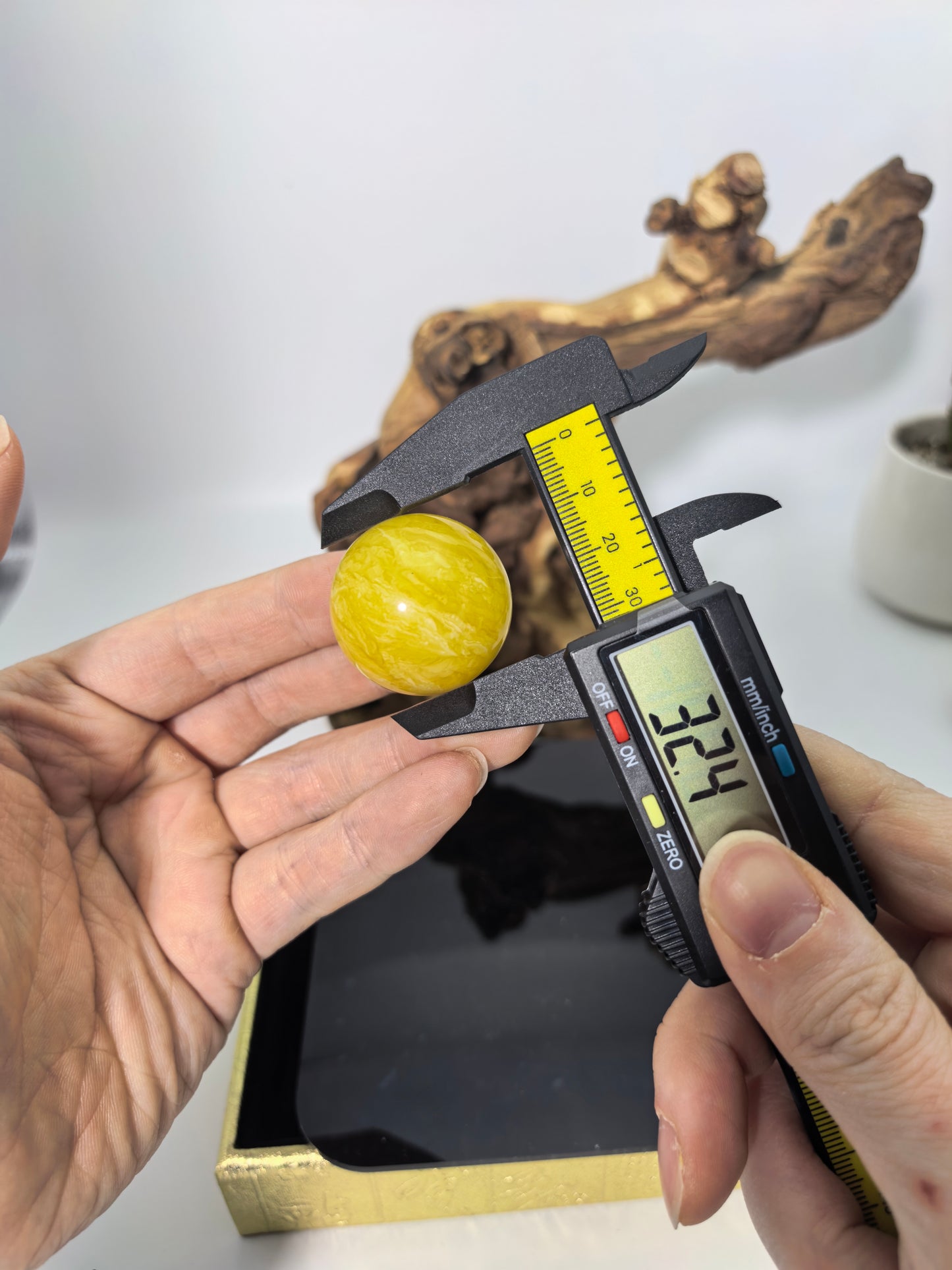 Yellow Dwarf