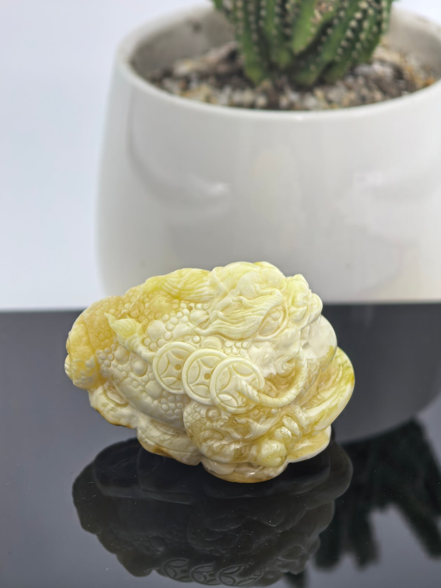 Golden Toad