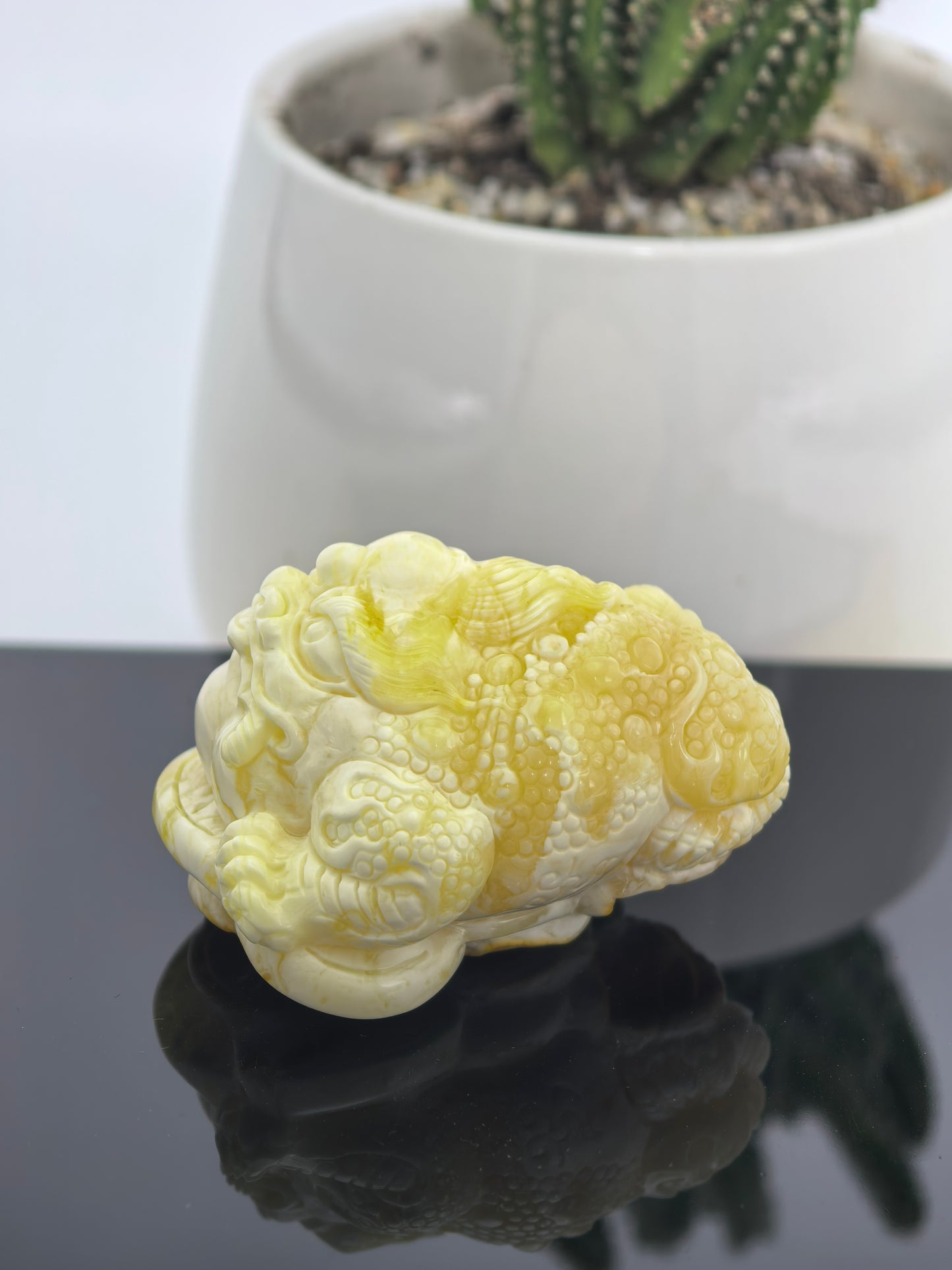 Golden Toad