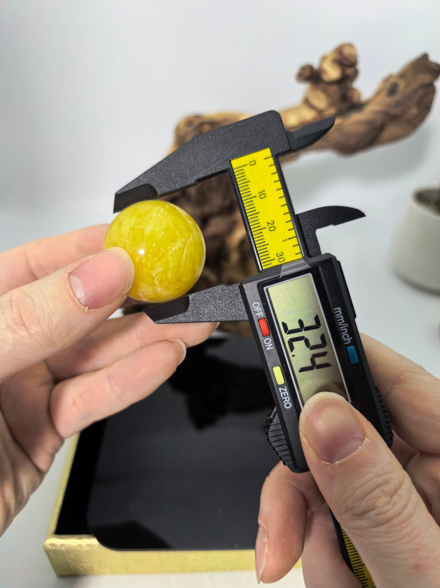 Yellow Dwarf